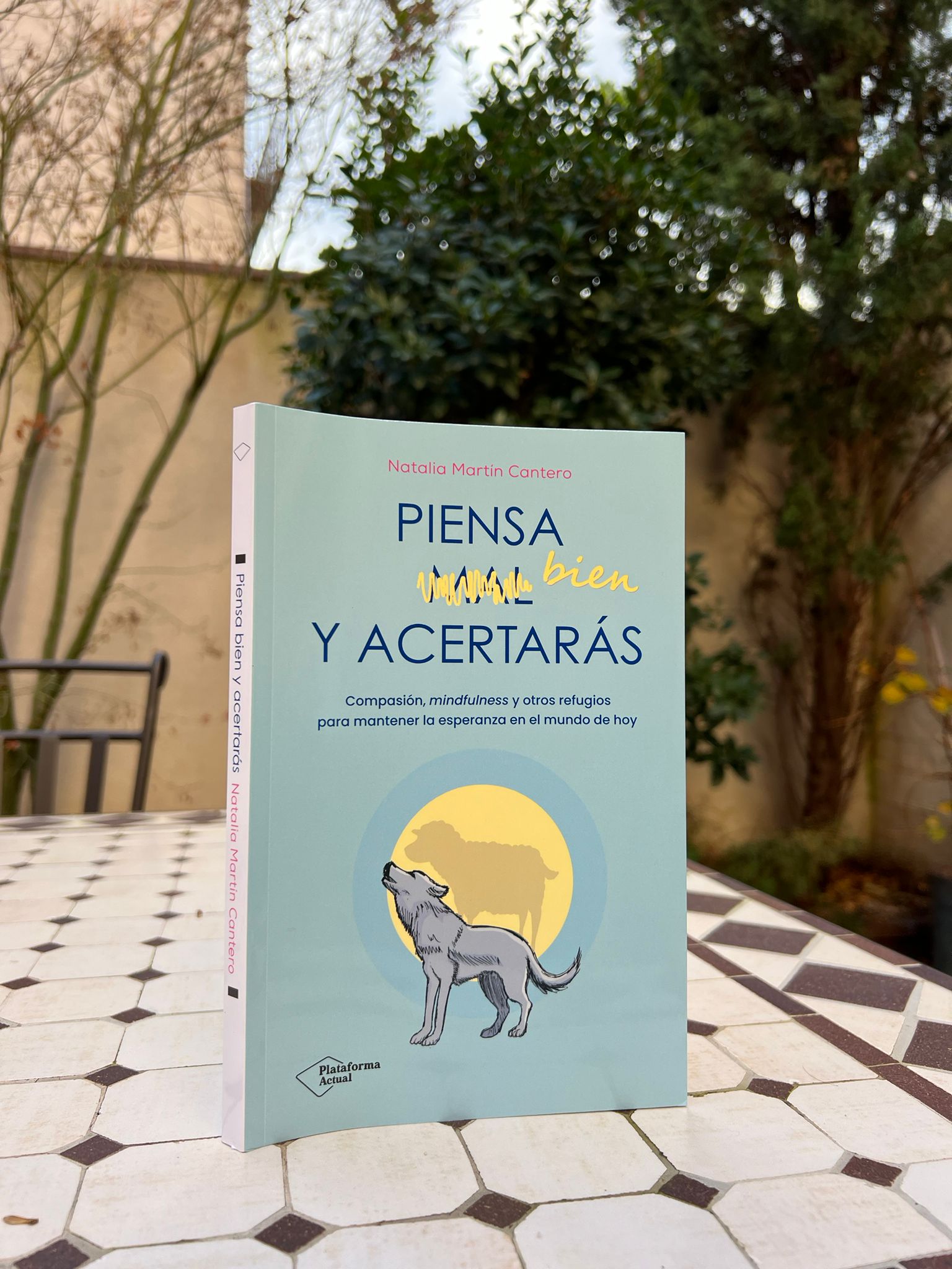 Piensa bien y acertarás de Natalia Martín Cantero